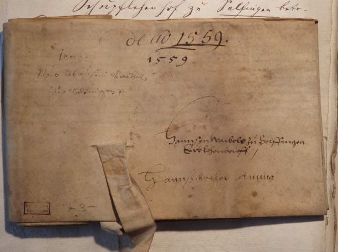 Lehensurkunde von 1559. Älteste Urkunde eines Waibel-Vorfahrs.